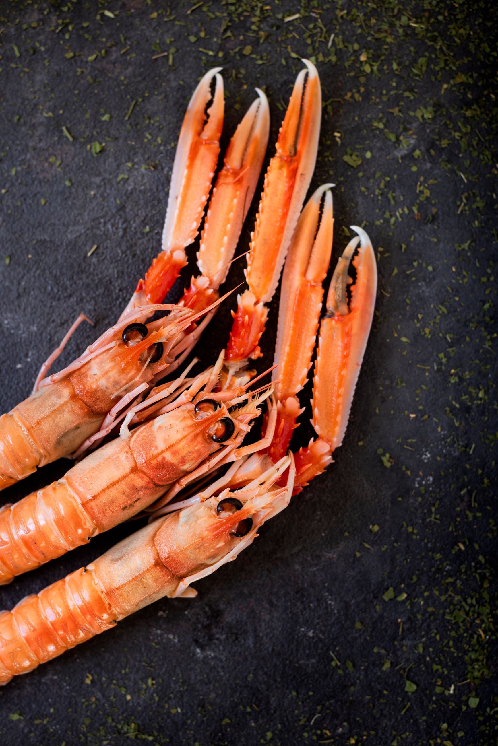 Langoustine, toulon, var